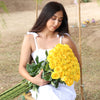 Stunning Yellow Roses – Fresh & Vibrant Blooms
